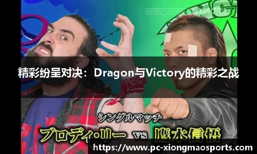精彩纷呈对决：Dragon与Victory的精彩之战