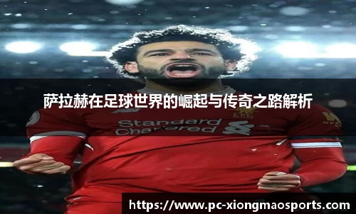 熊猫体育官方网站