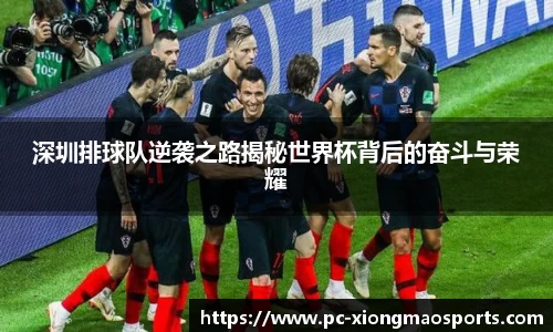 熊猫体育官网